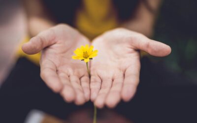 When Core Values and Self-Care Collide
